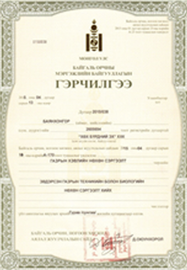 Certificate 4